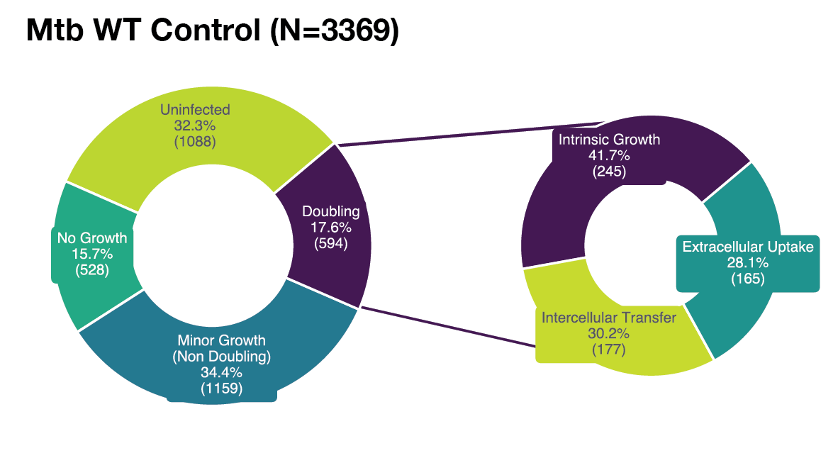 Supplementary Figure S1E